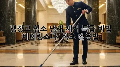 냉장고 청소, 냄새 제거 특급 비법! 베이킹소다 & 식초 활용법