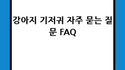 댕댕이 노년 건강 지킴이: 강아지 기저귀 사용 후기