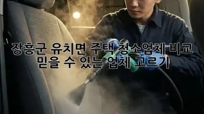 장흥군 유치면 주택 청소업체 비교: 믿을 수 있는 업체 고르기