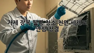 🏡 거제 장목 웰빙 청소, 천연 세제로 안심 청결! ✨